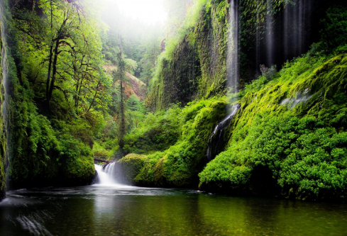 1695458331935695.png image.png