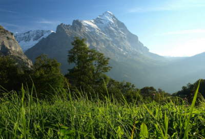 ​曹丕趁乱纳甄氏经过如何 曹丕童年的故事