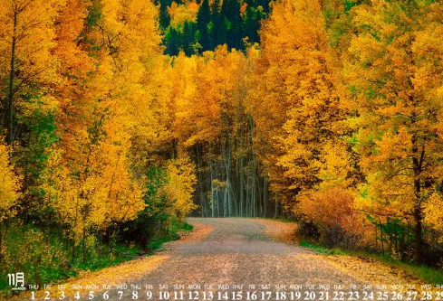 1695459527979673.png image.png