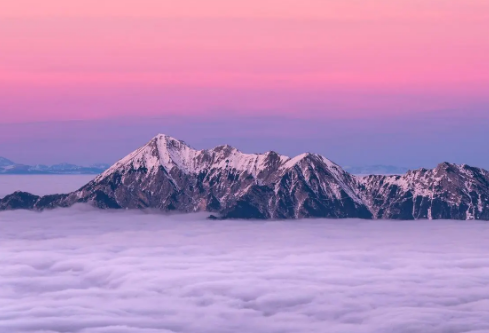 1695459593319145.png image.png