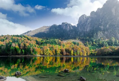 1695459660349705.png image.png