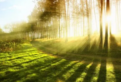 ​商鞅事魏的故事 商鞅早年为政事迹