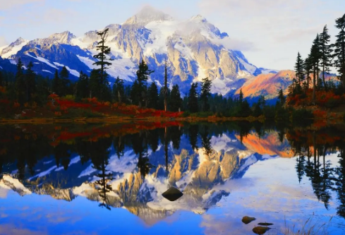 1695459926418340.png image.png