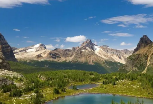 1695460059703988.png image.png