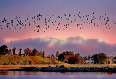 ​明英宗朱祁镇中敌诡计杀于谦的故事