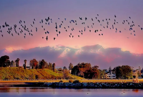 1695460126357972.png image.png