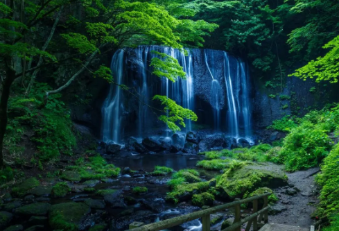 1695460259948065.png image.png