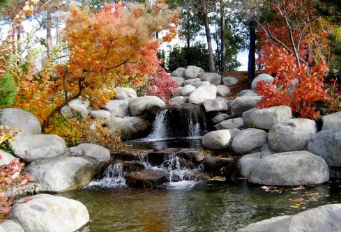 1695460460103544.png image.png