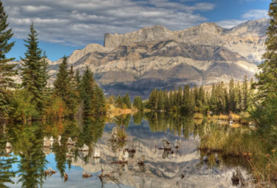 ​关于热爱生命的名人故事