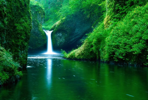 1695460593435586.png image.png