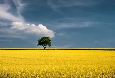 1695460925340047.png image.png