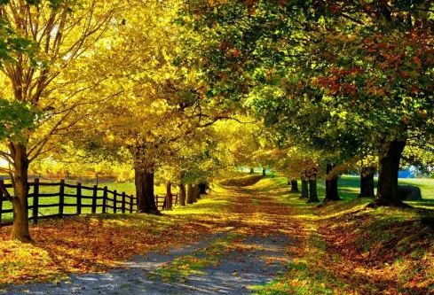 1695460992175549.png image.png