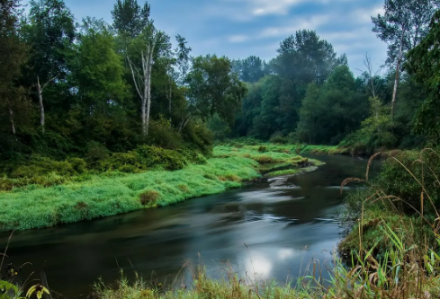 1695461391502460.png image.png