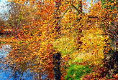 ​疫情感人故事文章三篇