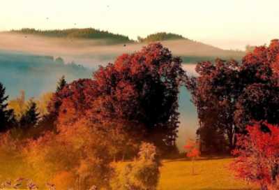 ​柳永与虫娘的故事 他们之间有的是爱情吗