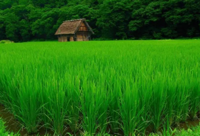 ​晨会激励小故事摘抄