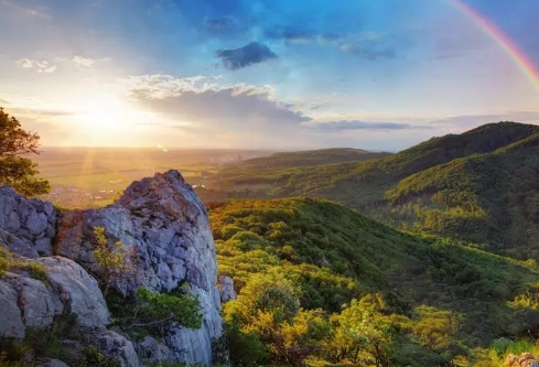 1695461989335666.png image.png