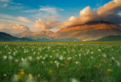 ​吴承恩真实容貌复原图 吴承恩一生的故事