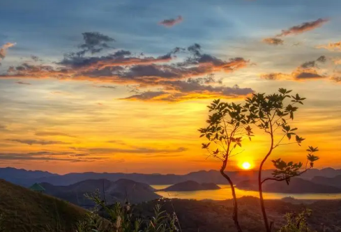 1695462320623702.png image.png