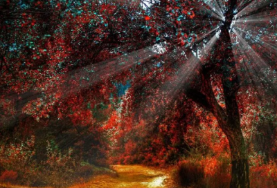 ​笑傲江湖中田伯光和仪琳之间的故事