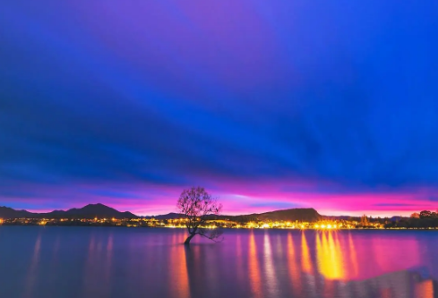 1695462718857858.png image.png