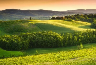 ​关于名医扁鹊的故事 扁鹊投石的故事