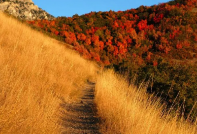 ​关于纪晓岚的趣事 纪晓岚智解老头子的故事