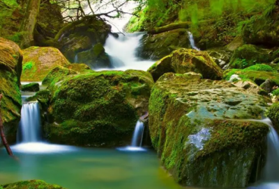 ​儿童睡前有趣动物故事