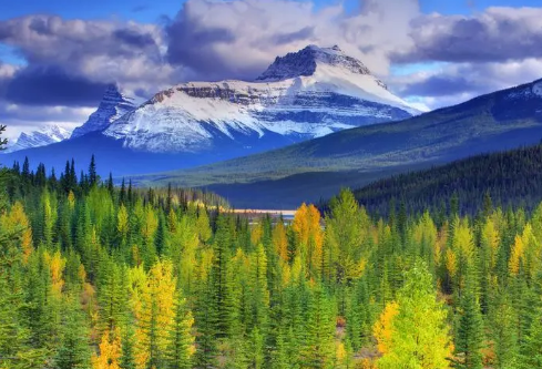 1695463318592662.png image.png