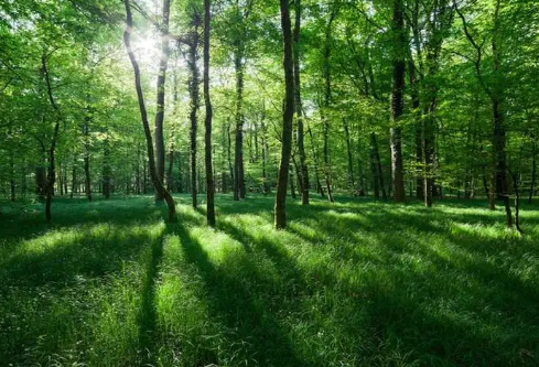 1695463455656787.png image.png