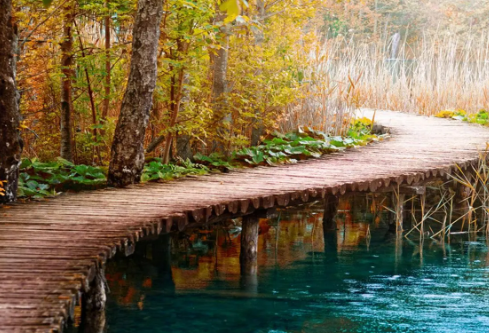 1695463655854510.png image.png