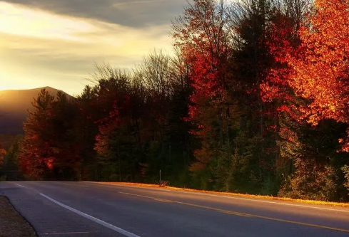 1695463721411475.png image.png