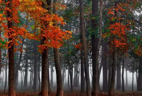 1695464886658231.png image.png