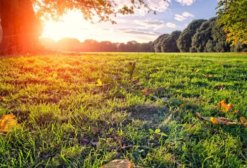 1695464953291333.png image.png