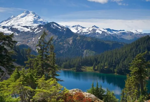 1695465019533270.png image.png