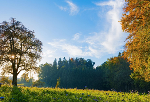 1695465086506071.png image.png