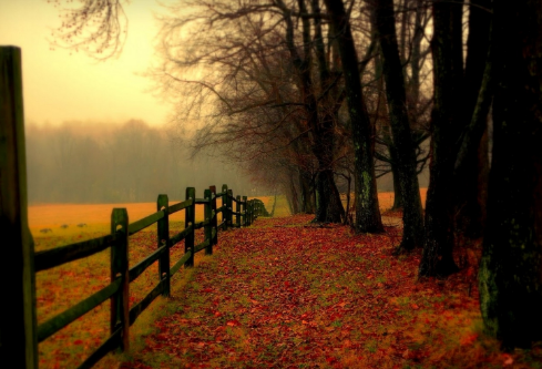 1695466019453866.png image.png