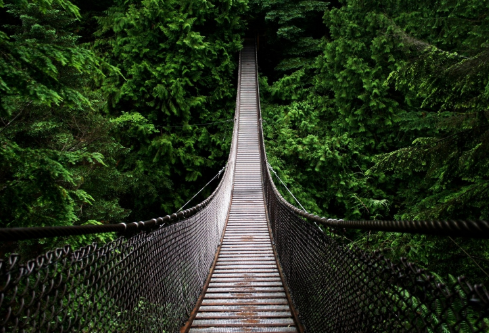 1695466085538562.png image.png