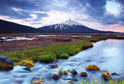 ​拿破仑的故事说明他什么品质