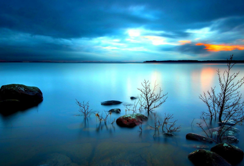 1700097256923776.png image.png