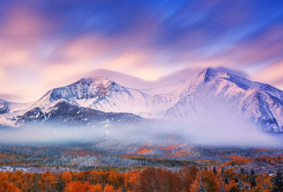 ​三分钟优秀的动物故事