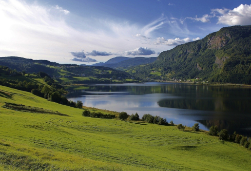 1700099584358290.png image.png