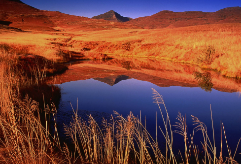 1700099750615621.png image.png