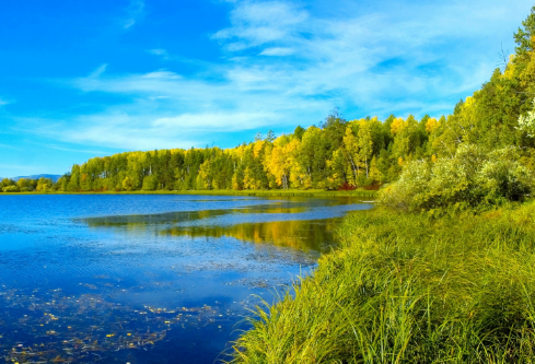 1700100416197784.png image.png