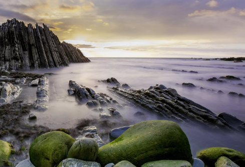 1700100915877850.png image.png