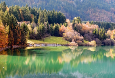 ​神话故事中的白素贞是条什么蛇