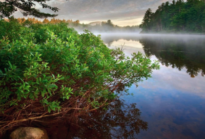 ​关于汉武帝的故事 秦始皇与汉武帝谁的功劳大