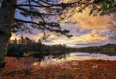 ​千年蛇妖白素贞的凄美故事