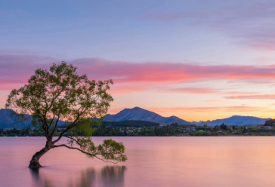 ​邢夫人帮丈夫贾赦纳妾的故事