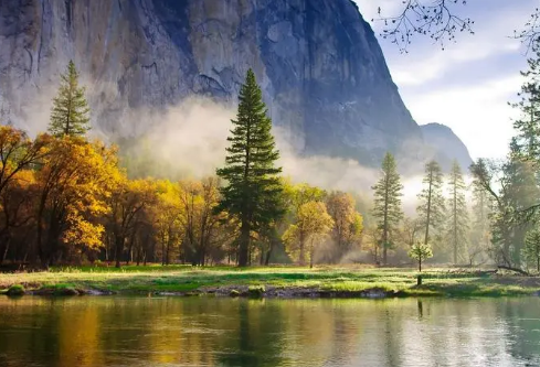 1700104741459117.png image.png